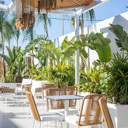 Casa Stavris Daire Faliraki